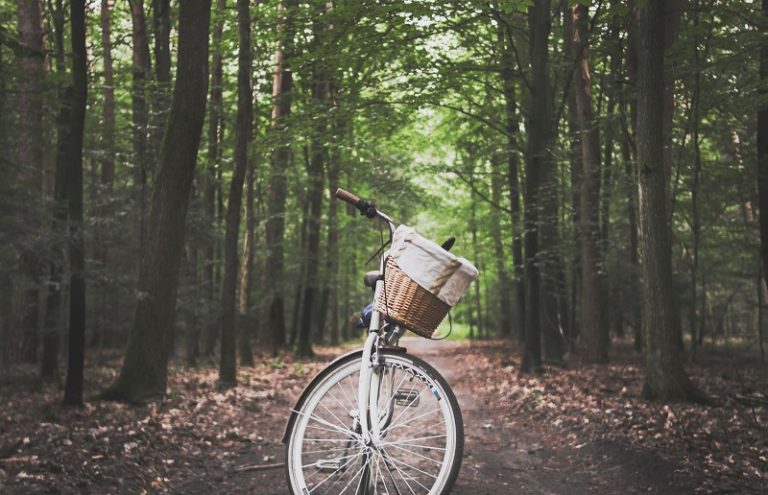 Top 5 States for Biking Trails