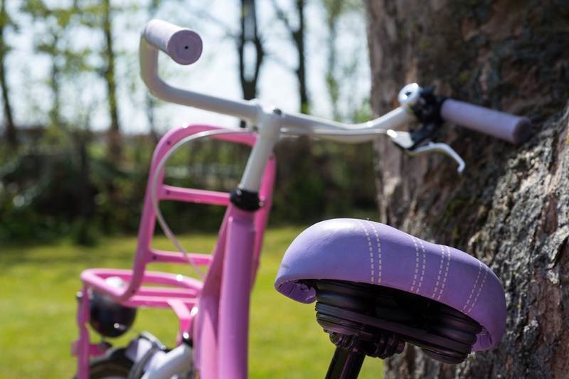 How to Size a Bike for Your Child Close Up of a Pink and Purple Bike Resting on a Tree