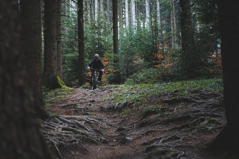 Best Minneapolis Bike Trails a Person Riding a Mountain Bike Through a Forest with Challenges