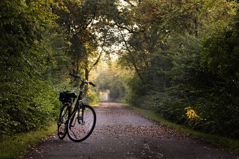 Best Minneapolis Bike Trails a Bike on a Bike Trail Lined with Forest on Either Side