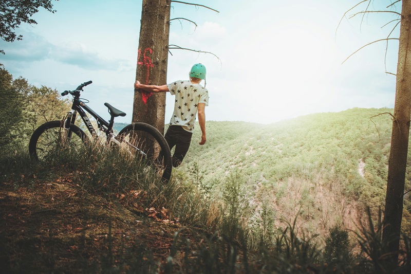 Bike Maintenance Tips for the Family a Person Standing Next to a Tree Overlooking a Valley with a Bike Behind Him
