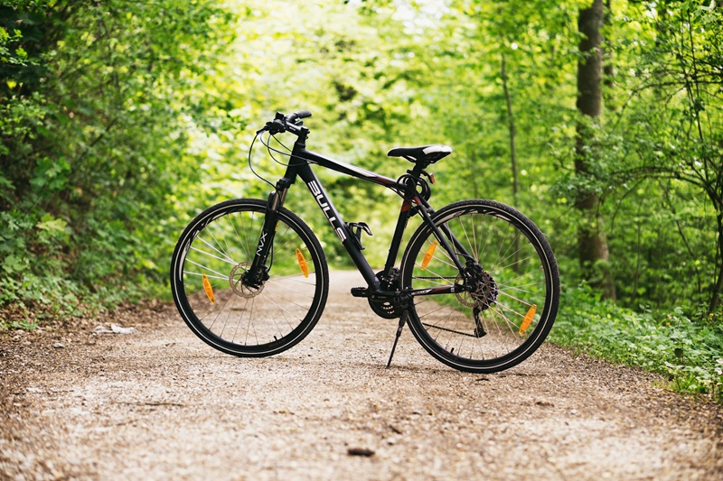 Best Bike Trails in Minnesota a Bike on its Kickstand on a Trail Through a Forest