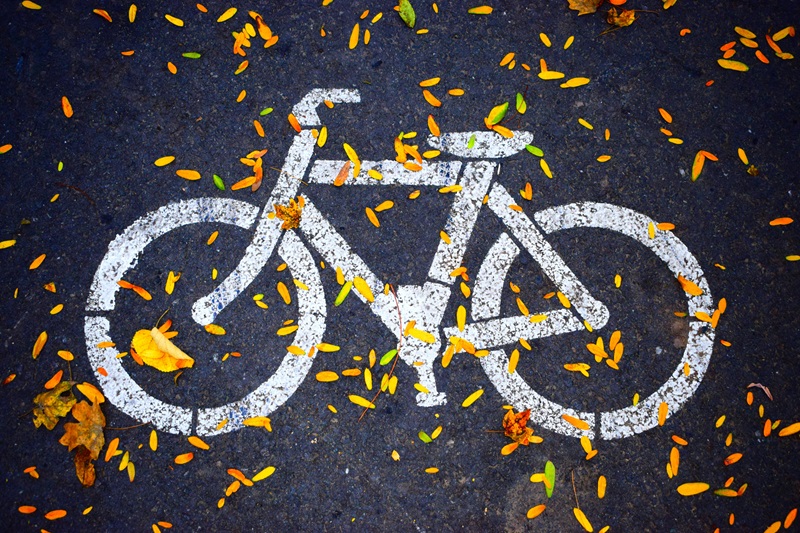 Best Bike Trails in Oregon a Painted Symbol of a Bike on Pavement Covered in Leaves