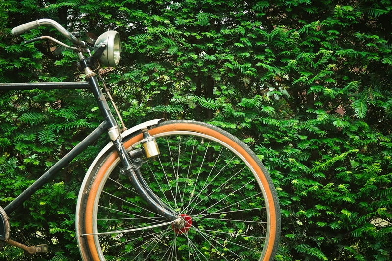 Best Bike Trails in Oregon Close Up of a Bike Next to a Green Bush