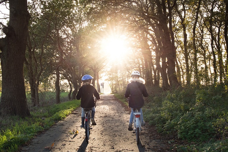 Best Bike Trails for Kids in Denver Two People Riding Bikes Along a Tree-Lined Trail