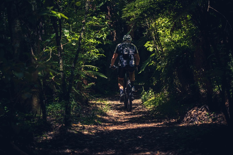 Best Bike Trails in Illinois a Person Riding a Bike Through a Wooded Area