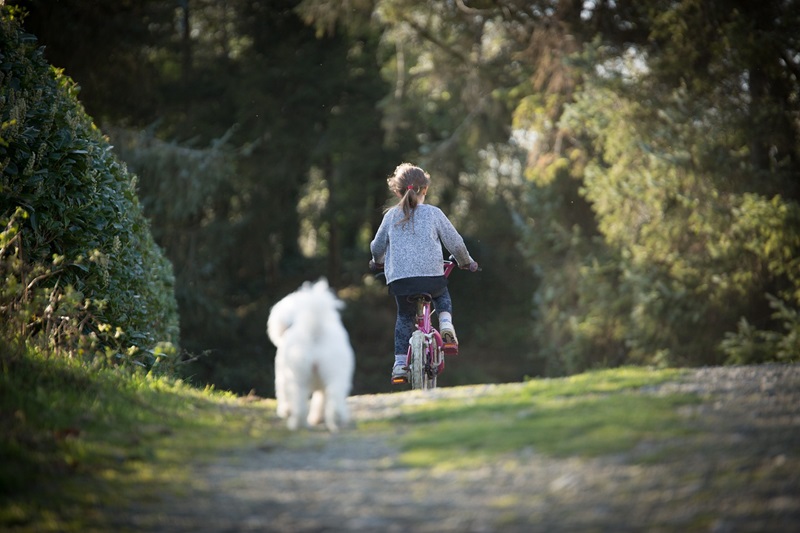 What to Pack for Your Family Bike Trip a Little Girl Riding a Bike Down a Trail with a Small White Dog Chasing Behind Her